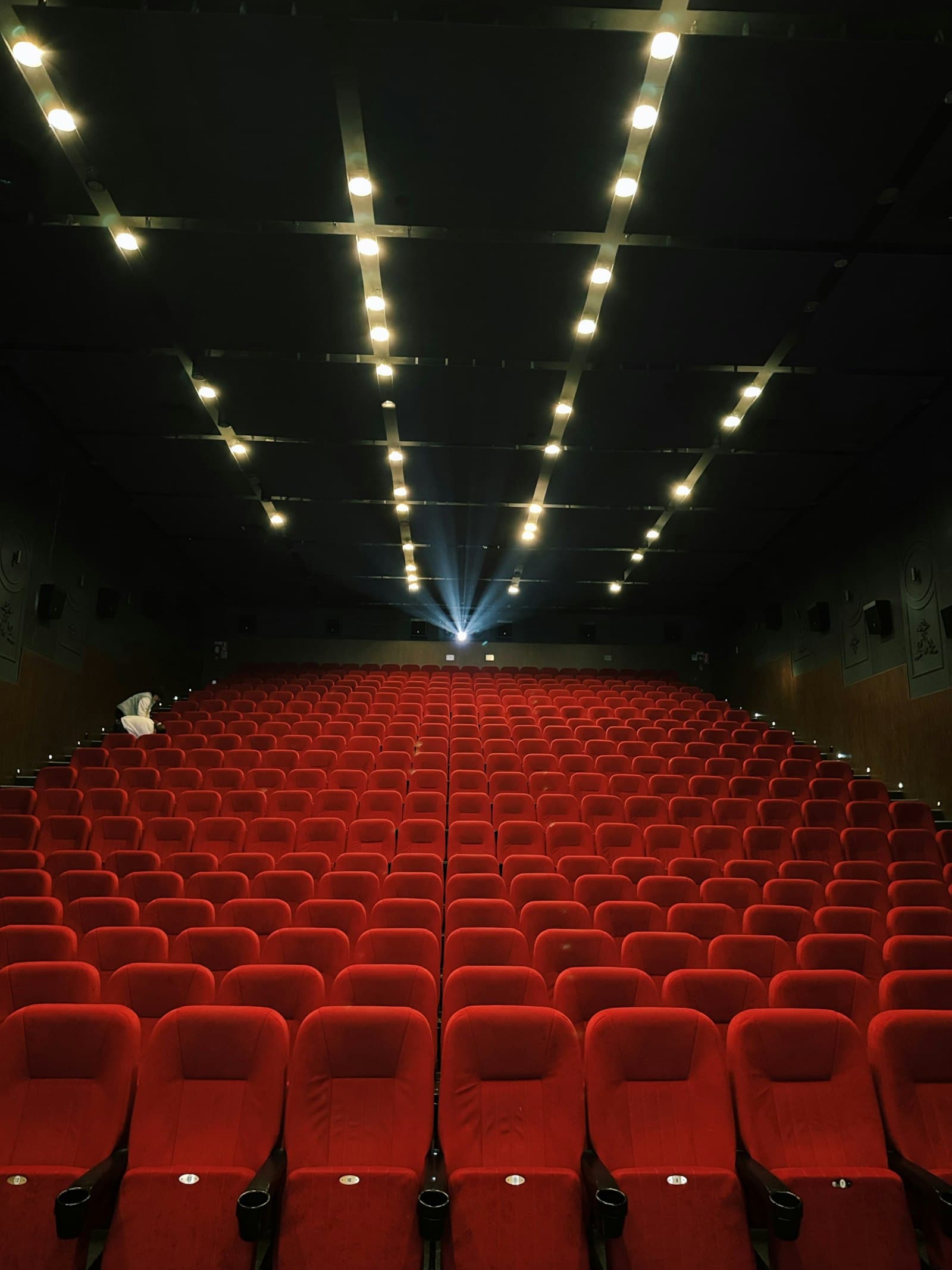 Cinema fără Bariere